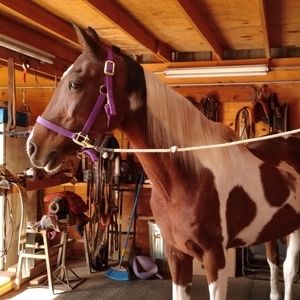 Meet your Posher, Virgina